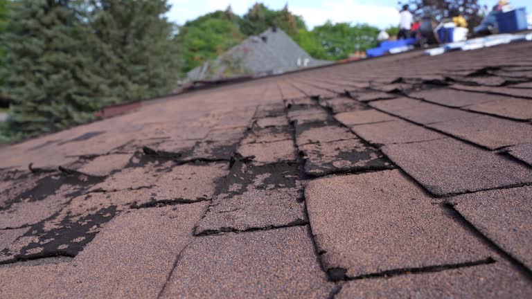 Fast & Reliable Emergency Roof Repairs in Niles, OH